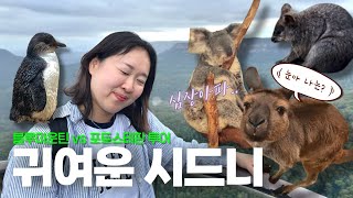 🇦🇺 시드니투어 2대장- 블루마운틴 vs 포트스테판 [Sydney-ep4]