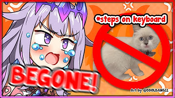 [ENG SUB/Hololive] Biboo banished John Cat because he