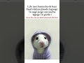 #tweetreels #brokenheart #sadstatus #sad #lofimusic #lofichill #aesthetics #thouths #memes #cat