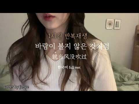 1시간 반복재생 바람이 불지 않은 것처럼 就当风没吹过 여자 Cover Full Version