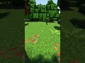 Jumpscare alert #shorts #minecraft