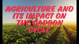 The impact of agriculture on the carbon cycle