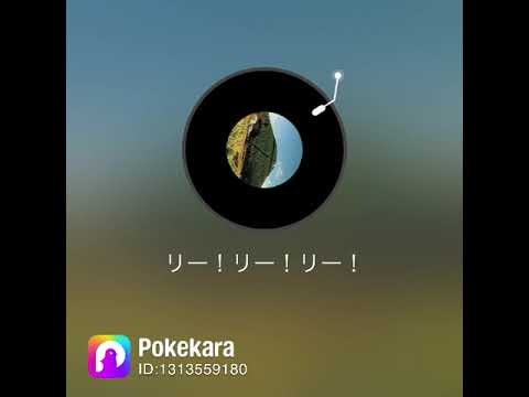 OT『リー！リー！リー！』を歌ってみた