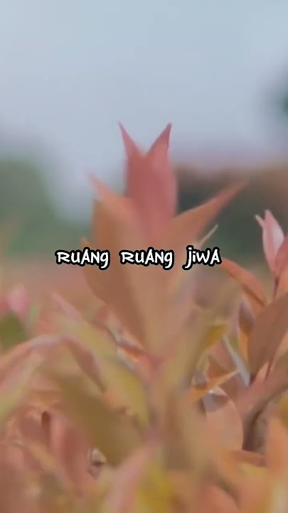 Kupu-Kupu Cinta