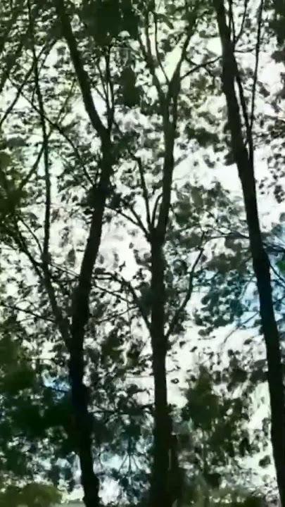 സാധകം 🎶