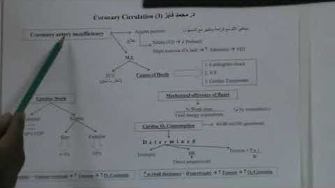 Physiology CVS Revision (Coronary Circulation + Coronary Insufficiency)  Dr Mohamed Fayez
