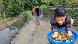 Going with my boyfriend to build rice fields - Thao thi ket