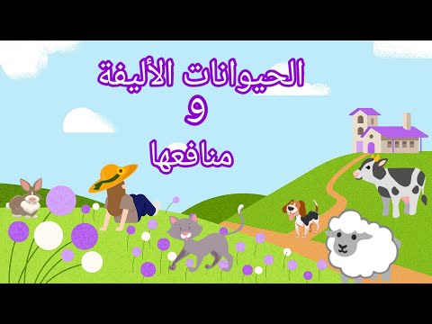 الحيوانات الأليفة و منافعها للإنسان       