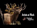 Animal artistry  artists at work  taxidermy