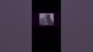 Delphi Double Murders: RON LOGAN WAS BRIDGE GUY?