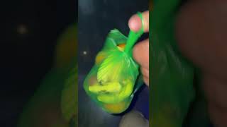 Day 70/150😵‍💫 #fitnessmotivations #minivlog #lifeisbutadream