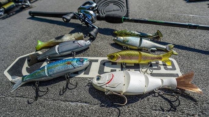 The Best STARTER Big Swimbait Rods!? Best Bang For Your Buck!! 