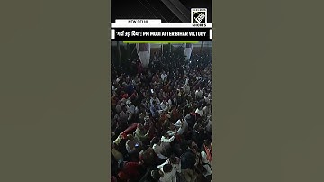 ‘गर्दा उड़ा दिया’: PM Modi hails NDA’s landslide victory in Bihar Assembly election