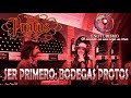 Bodegas protos