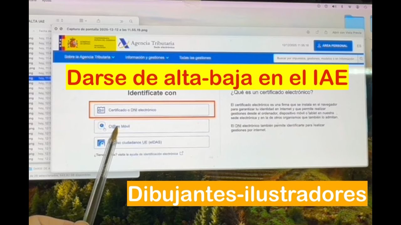 Cómo darse de alta baja en el IAE dibujantes, ilustradores - YouTube