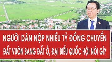 Người dân nộp nhiều tỷ đồng chuyển đất vườn sang đất ở, đại biểu Quốc hội nói gì?