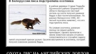 работа в интернете для подростков от 14 лет без вложений и обмана 2017 2018 2019