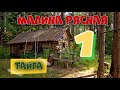 МАКАРЫЧ В ТАЙГЕ | ТАЁЖНАЯ МАЛИНА | МЕДВЕДЬ В КУСТАХ | ЖИЗНЬ В ЛЕСУ 1