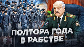 Лукашенко отправил айтишника в колхоз / Реальная Беларусь / Окрестина и Витольд Ашурок