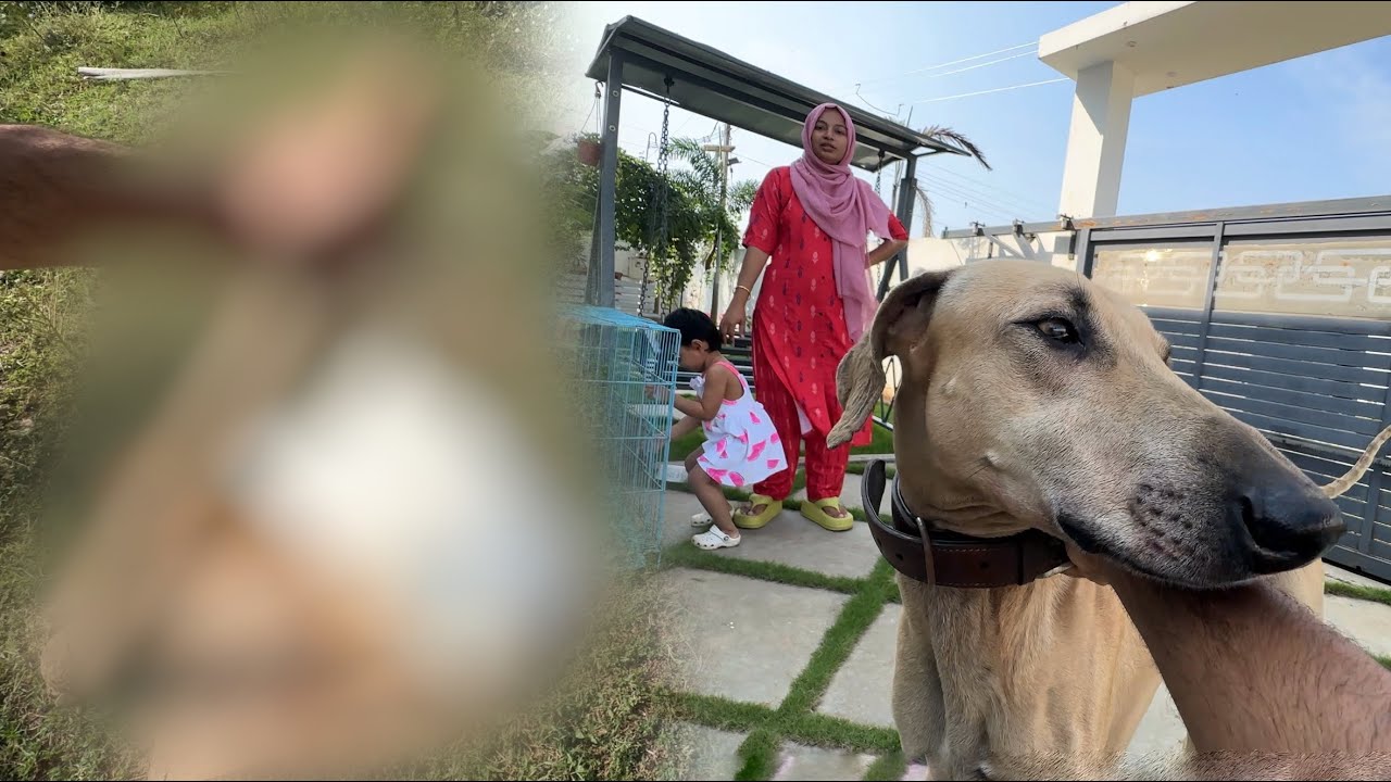 ОН - DE@D..😟 Причина МАРАН..😡