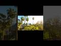 FPV Drone Cinematic for Saphirotel Hotel #Hotel #FPVDrone #LuxuryStay #DroneVideo #travelvibes