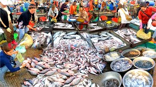 ตลาดปลา l กิจกรรมกัมพูชา ตลาดสด จำหน่ายปลาเล็กและปลาใหญ่ ตลาดปลากัมพูชา