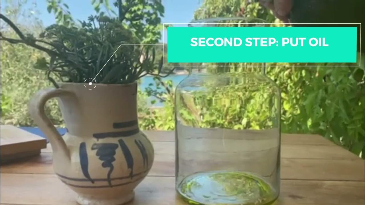 What is maceration process of plants YouTube