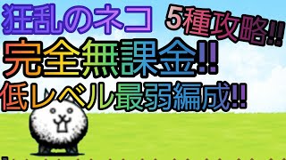 狂乱のネコ最弱編成!!　低レベル完全無課金攻略!!　にゃんこ大戦争