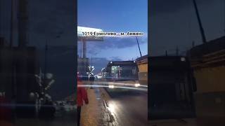 Миниролик #1501 Эксклюзив! Е025ОР на 1019?!? #автобус #рекомендации #shorts