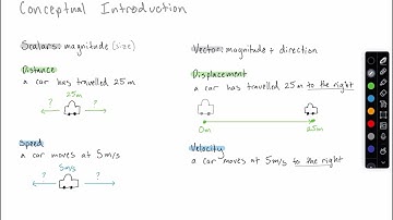 Scalars and Vectors in One Dimension