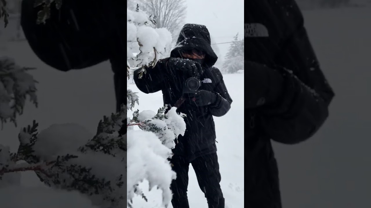 An Alternative to This Popular Sony Lens