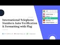 Advanced International Phone Number Input Field | Auto Country Detection &amp; Validation | Odoo