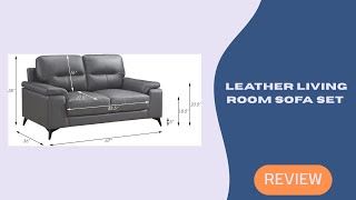 Lexicon Danica Dark Gray Leather Living Room Sofa Set Review