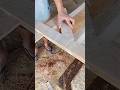 Perfect straight cuts #shorts #woodworking #diy