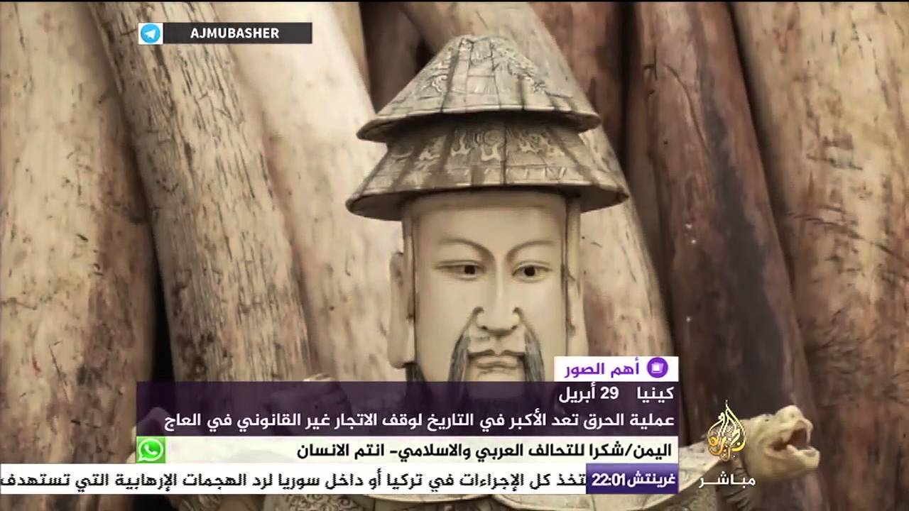 أهم الصور ..