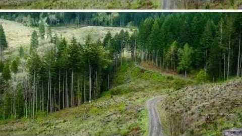 ما تيسر من أوائل سورة آل عمران - القارئ عبدالله بن رجاء الحربي رحمه الله