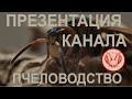 Презентация канала. Ловим рои пчёл. Ловушка для роёв.  Пчеловодство. Начинаю