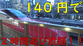 【140円で見放題!】東京駅 入場券で新幹線を見てきた！#2