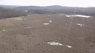 Campaña de Terreno 2019. Pajonal El Guindo, Vichuquen, Region del Maule, Chile