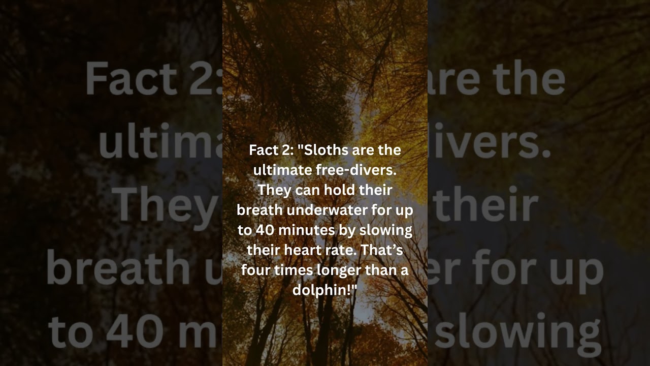 Animal Superpower Facts