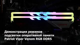 Patriot Viper Venom RGB DDR5 - Демонстрация режимов подсветки