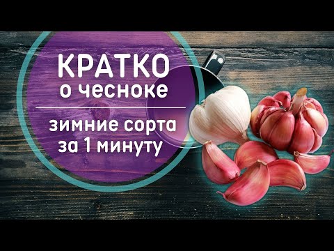 Video: Сарымсак таңуу