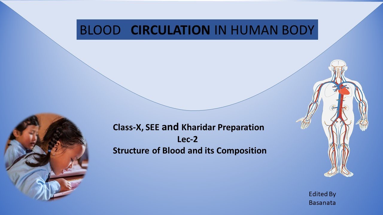 Blood And Its Constituents Blood Circulation In Human Body Class X