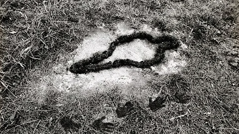 Ana Mendieta: Covered in Time and History - World ...