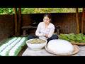 How to Make Giant Ant Egg Cakes with My Kids and Sell Them at the Local Market