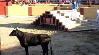 Imagen 039.avi