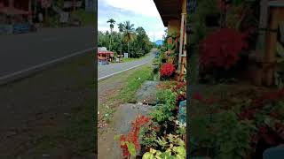 Bus Legendaris Pasaman--Padang