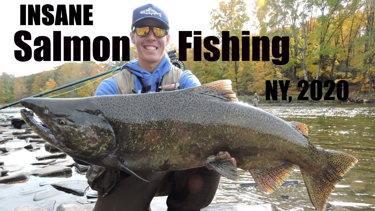 salmon fishing trips ny