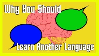 Why (and How) we Learn Other Languages
