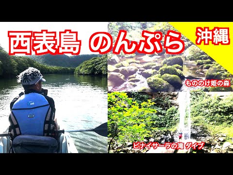 【 西表島 のんぷら 】世界遺産 西表島  自然の癒し 観光グルメ 八重山そば おもてなし /西表島カヌー/ピナイサーラの滝/由布島 水牛 三味線/石垣島【Japan/iriomote island】